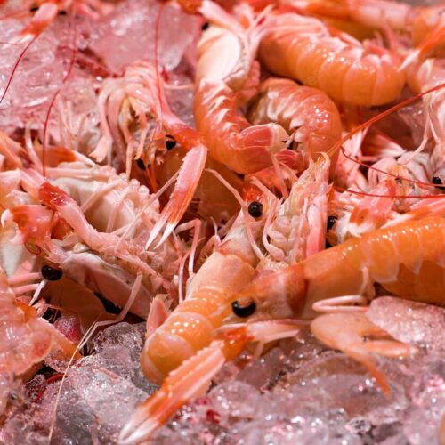 pink-fresh-frozen-shrimps-with-ice-supermarket-fish-shop-uncooked-seafood-close-up-background-fresh-frozen-prawns-delicacies-sea-food-concept-close-up_557878-986